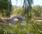 香水苑公园中的小桥