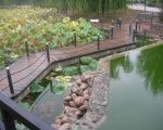 叠翠湖上的小木桥